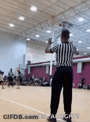 Referee NFL Game Pittsburgh Vs New England Patriots GIF