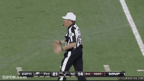 Referee Number 37 Saying Foul On Football Field GIF