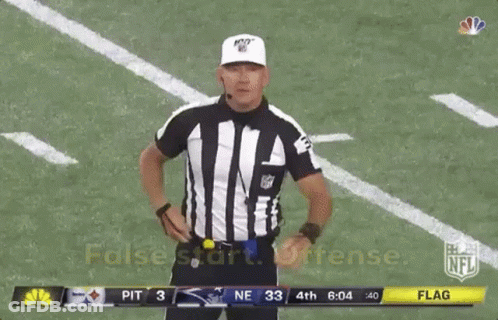 Referee On Field During Steelers Vs Patriots Game GIF