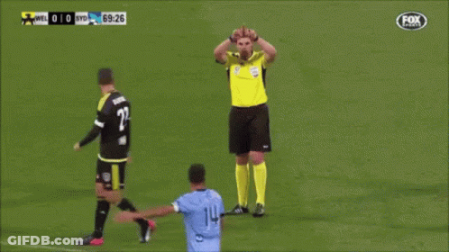 Referee On Soccer Field Fox Sports Logo GIF