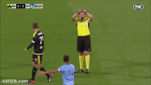 Referee On Soccer Field With Fox Sports Logo GIF