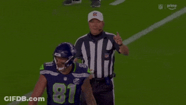 Referee Pointing At Football Player GIF