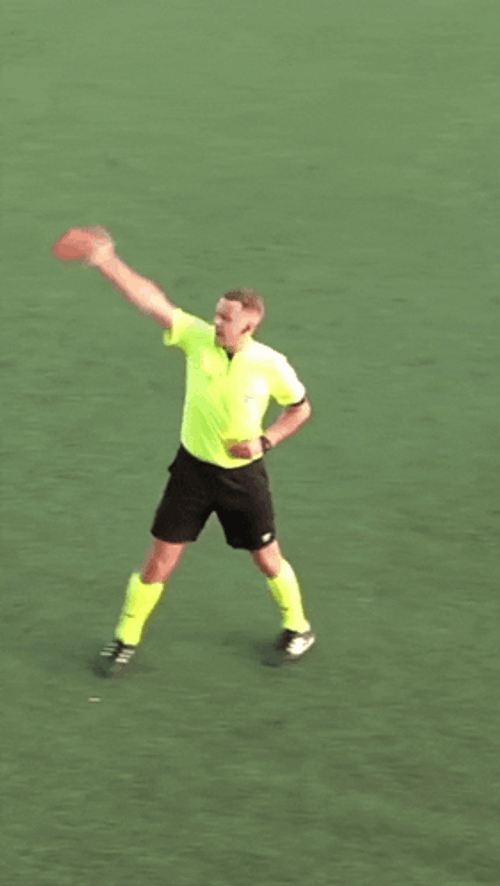 Referee Signals Red Card GIF