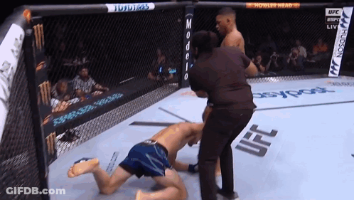Referee Standing Next To UFC Fighter In Cage GIF