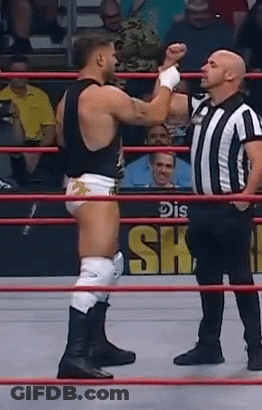 Referee Standing Next To Wrestler In Ring GIF
