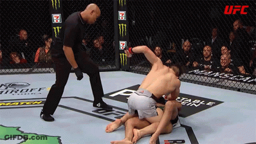 Referee Stands Between Two Men In UFC Cage GIF