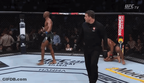 Referee Stands Between Two UFC Fighters GIF