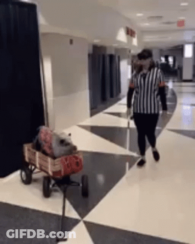 Referee Walking Down Hallway Next To Wooden Wagon With Raccoon GIF