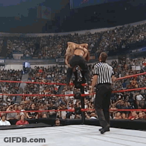 Referee Watching Wrestler Jump Over Another In Ring GIF