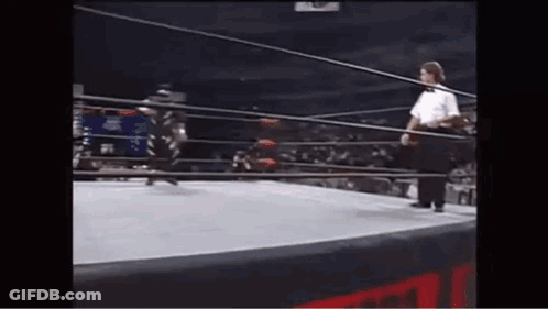 Referee Watching Wrestling Match GIF
