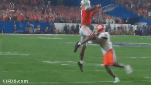 Referee With Letter F On Shirt On Field GIF