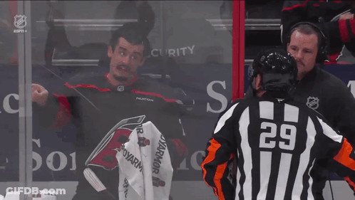 Referee With Number 29 On Back GIF