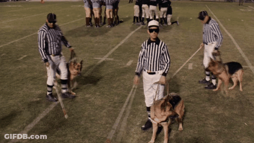 Referee With Two German Shepherds On Leashes GIF