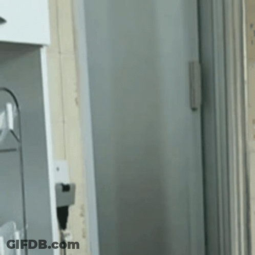 Refrigerator Door With Plug GIF