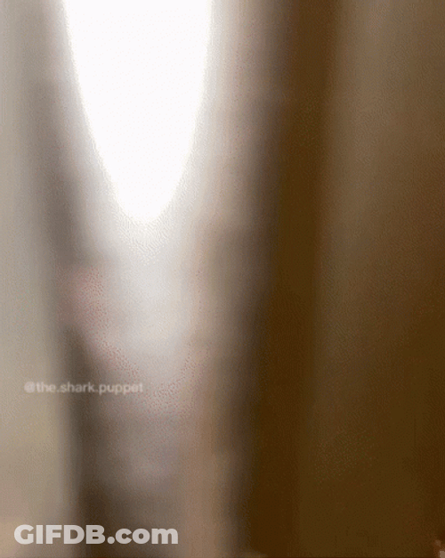 Refrigerator Full Of Sprite Cranberry Cans GIF