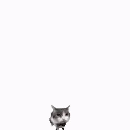 Rei Jumping Out Neon Genesis Evangelion GIF