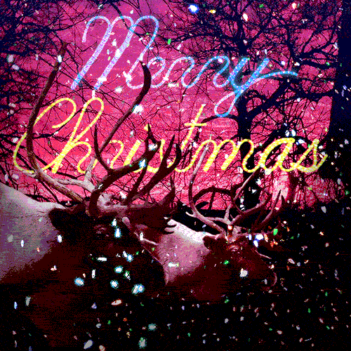 Reindeer Religious Merry Christmas GIF