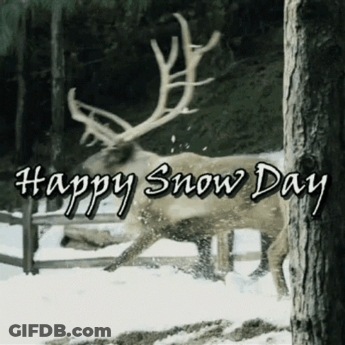 Reindeer Running Happy On Snow Day GIF