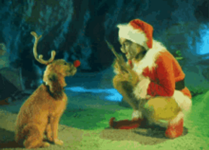 Reindeer Santa Claus Grinch Meme Cute Dog GIF