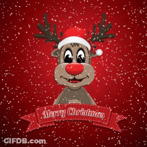 Reindeer Wearing Santa Hat And Merry Christmas Banner GIF
