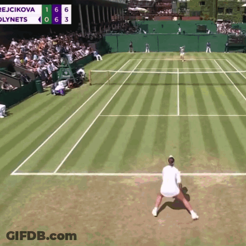 Rejcikova And Lynets Tennis Match GIF