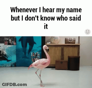 Relatable Funny GIF