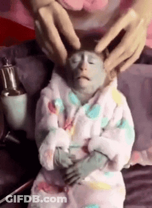 Relax Monkey Massage GIF