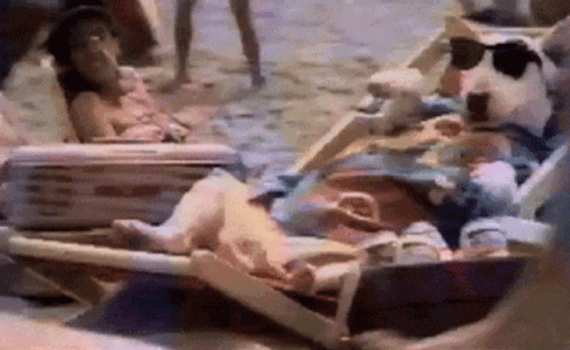 Relaxed Dog Wearing The Shade GIF
