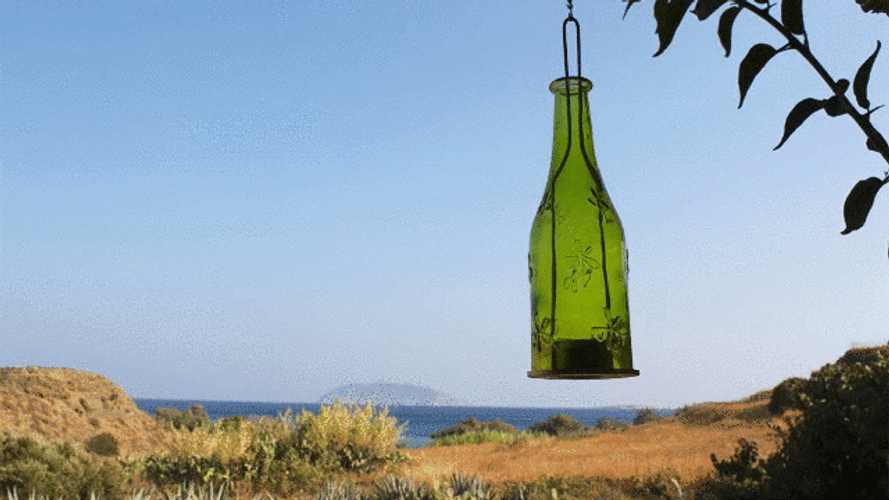Relaxing Beach View GIF