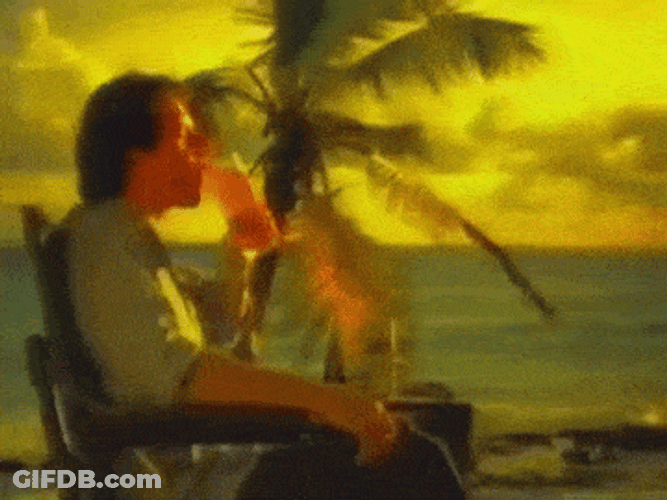 Relaxing By The Beach Palm Tree Swaying GIF