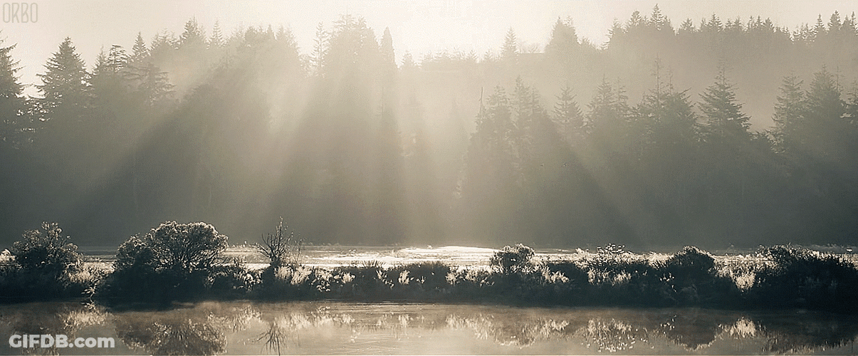 Relaxing Lake View GIF