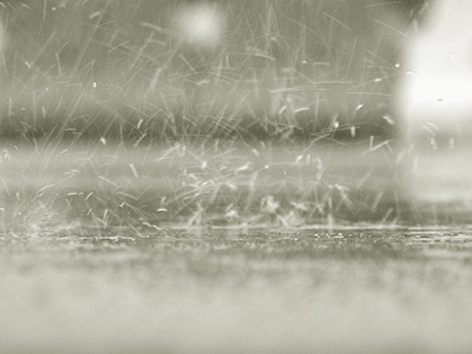 Relaxing Rain Drops GIF