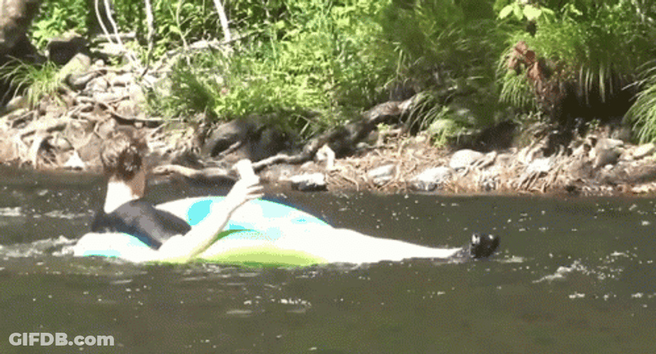 Relaxing Tourist Floating On River GIF