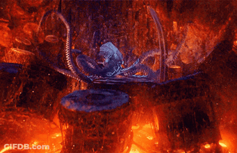 Release The Kraken Fiery Beast GIF