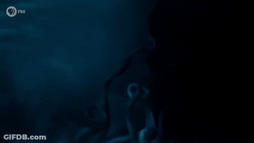 Release The Kraken Underwater GIF