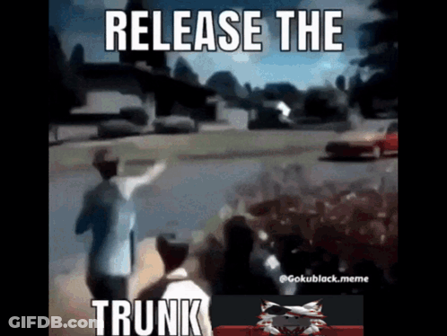 Release The Trunk Meme Group Standing On Street GIF