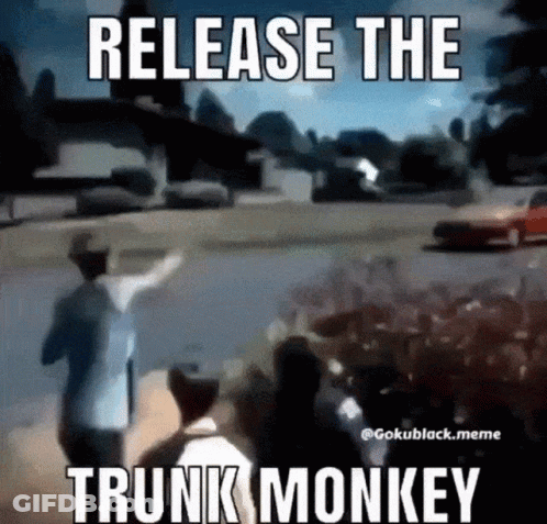 Release The Trunk Monkey Meme Group Walking Down Street GIF