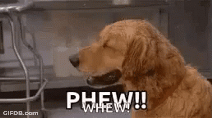 Relieved Phew Whew Dog GIF