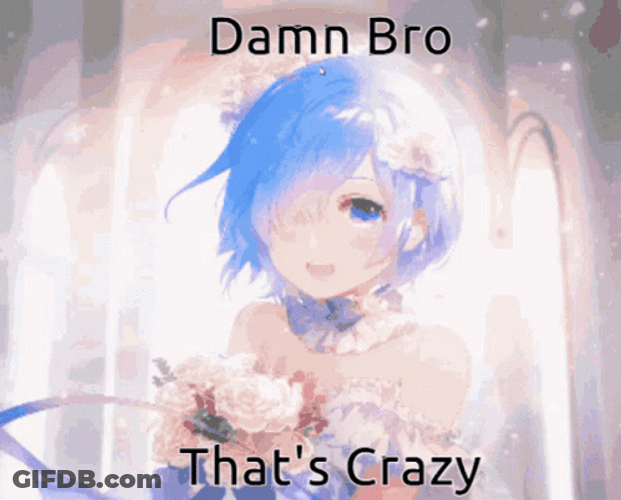 Rem Re Zero Anime That's Crazy GIF