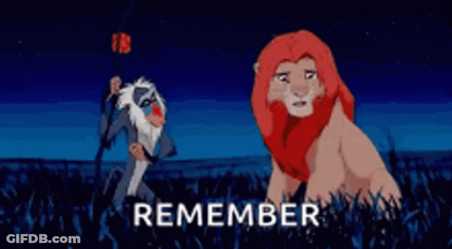 Remember Rafiki Hitting Simba GIF