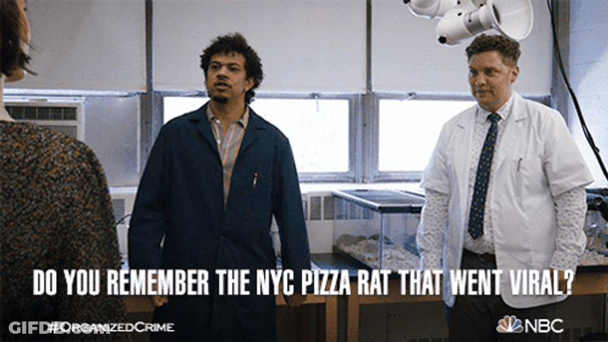 Remember The Viral Nyc Pizza Rat GIF