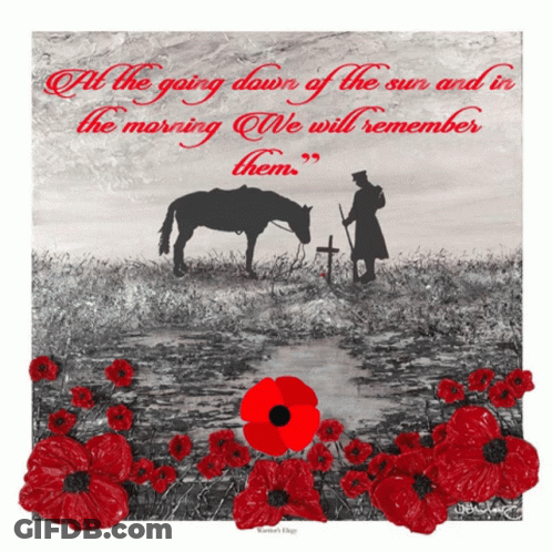 Remembrance Day GIF