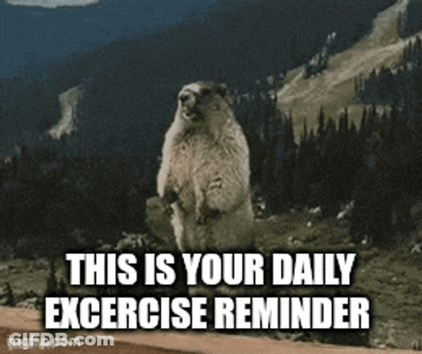 Reminder Shion Reminder GIF