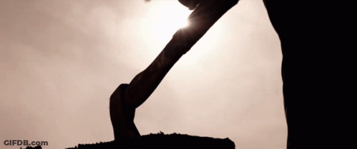 Removes Axe Viking GIF