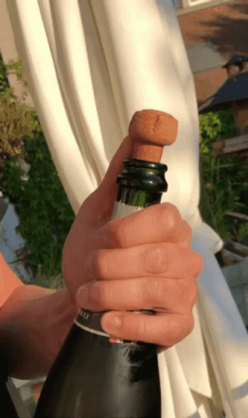 Removing Champagne Cork GIF