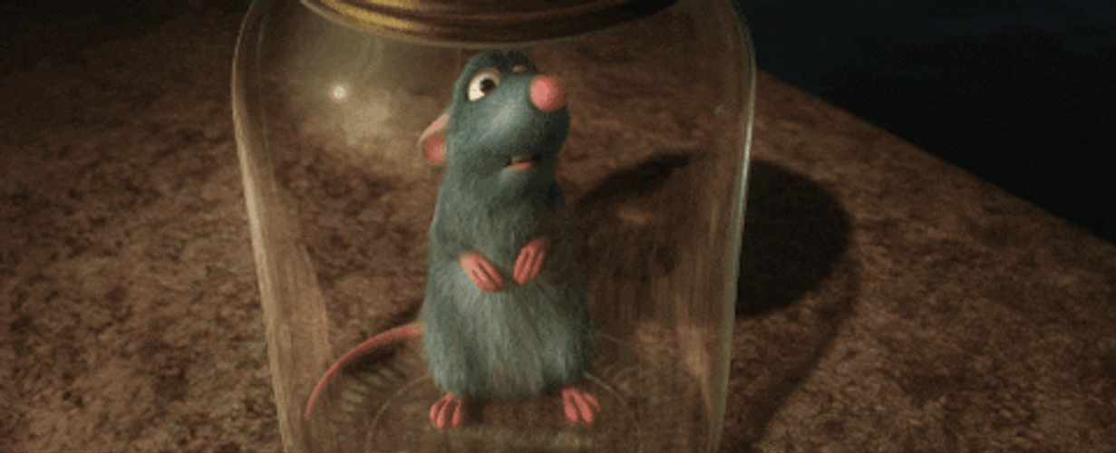 Remy Inside A Jar Ratatouille GIF
