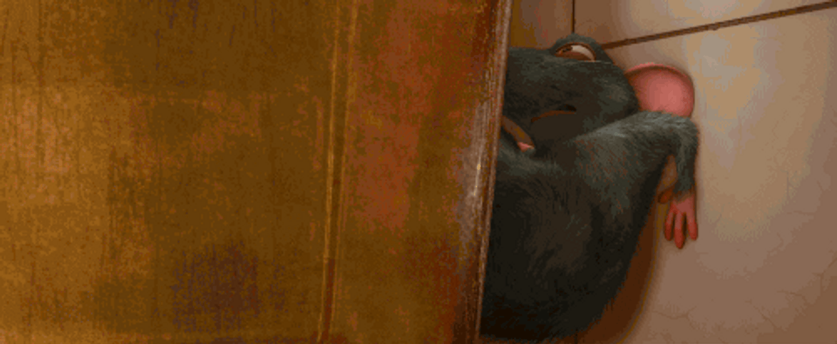 Remy Pouring Liquid Ratatouille GIF