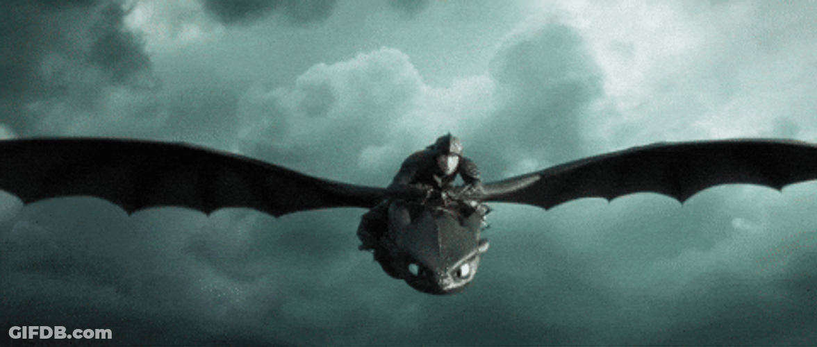 Remy Riding Toothless Air Dance Meme GIF
