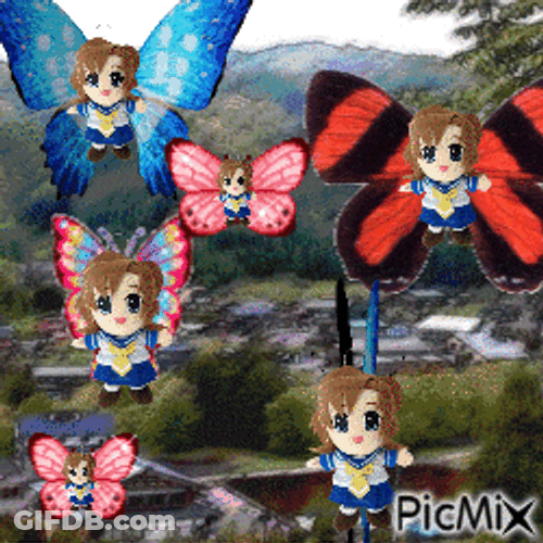 Renafly Buttefly GIF