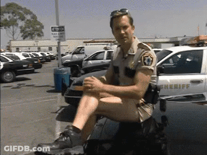 Reno 911 Dangle GIF